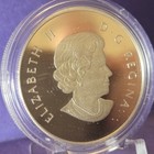 2016 Canadian  10 Colorized Ducks 999 Silver