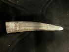  Scrimshaw Walrus Tusk Cribbage Board Resin  Reproduction 12 Inches Long
