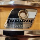 Ludwig Rocker Elite Piccolo Snare Drum 13  X 3  Maple Lacquer Finish With Case
