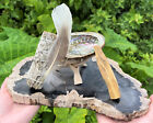 Smudge Kit  4  Abalone Shell  White Sage Stick  Palo Santo Wood  Feather   Stand