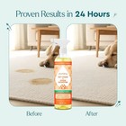 Professional Strength Pet Stain   Odor Remover Enzyme Cleaner 25oz Spray