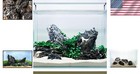 Unique Dark Seiryu Aquascaping Stones     7-8 Pcs  3-11 Inch Decorative Rocks