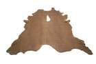 Dusty Tan Brown Leather Hide Upholstery Whole Full Cowhide 45 Square Feet