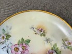 Vintage Antique German Painted Porcelain Plate W  Pink Flowers Decoration