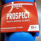 Everlast Prospect Youth Boxing Gloves