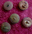  5  Dug Civil War Eagle General Service Cuff Buttons  port Hudson 