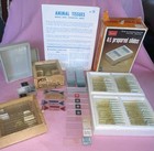 Vintage Lot 65  Prepared Microscope Slides Assorted Brands Samples Blanks