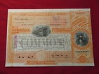 Louisville  Railroad Company Stock Certificate  Ea 1895 20 Shares