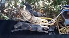 Antique Circa 1900 - 1930 Cast Iron Horse Drawn Fire Patrol Engine Truck Toy
