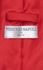 Vesuvio Napoli Solid Red Color Necktie And Handkerchief Mens Neck Tie Set