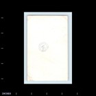 Old Vintage Photo Woman Standing Outside House