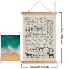 Antique-style Equine Anatomy Chart - Vintage Horse Illustrations Wall Art With W