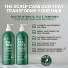 Tea Tree Shampoo   Conditioner Set 16oz - Soothes Itchy Scalp  And Max Therapy