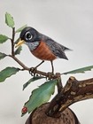 American Robin On Branch With Lady Bug Song Bird Figurine Wood Carved   Painted