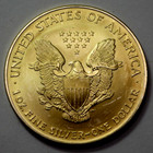 2003 American Silver Eagle Dollar 1 Oz Fine Silver Coin 24k Gold Gilded Bullion 