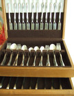 54 Pc Set Hampton Silversmiths Contemporary Stainless Flatware Hsv005 Substantia