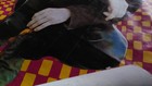 Original U k  40x60 Doors Huge Vintage Subway Psychedelic Jim Morrison Poster