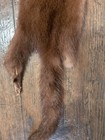 Nice Wild Brown Mink Fresh Tanned Hide Super Soft Plush Leather Craft Pelt Fur 