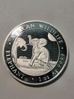 2024 Somali African Wildlife Elephant 100 Shilling  1 Oz  9999 Fine Silver Coin