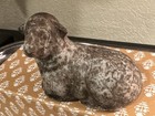 Small-vintage-weathered Lamb sheep-3 5   l X 2 75   h-primitive farmhouse-free Ship-