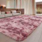 Soft Shaggy Area Rug With Anti-slip Backing For Living Room Or Bedroom Decor