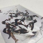 Iconic Images Miami Heat Nba Collage Print Lebron James Wade Facsimile Signed