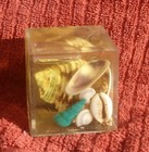 Nassau Bahamas Vintage Lucite Sea Shell Cube Souvenir Paperweight