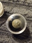 2 Dug Civil War Uniform Buttons From Virginia In Viewing Case
