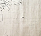 Tonopah Gold Mountain District Mining Claim Survey Map 43 x30  Esmeralda Nevada