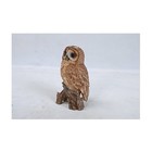 Gift Ltd Tawny Owl On Stump  6 75   Brown