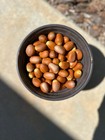 10 Cycad Seeds - Encephalartos Afer  formerly Encephalartos Caffer 