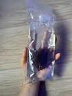 3 inch Home Grown Saltwater Red Dragons Breath Macro Algae Reef Refugium