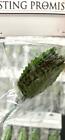    craft Clearance    24 Packs   288 Artificial Flower Arrangement Leaves Wholesale