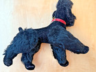 Vintage Steiff Jointed Snobby Poodle  Dog   Germany With Silver  Button    5322