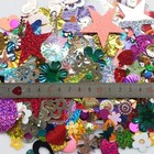 1 Bag 100grams Assorted Styles Sequin For Wedding Christmas Clothes Jewelry S   