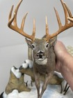 Danbury Mint  buck Of A Lifetime  Winter Deer Sculpture Figurine By Nick Bibby