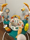 Fisher-price Baby Bouncer Whimsical Forest Jumperoo