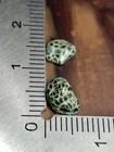  7g Very Bright  from Island  Isle Royale Greenstone Chlorastrolite Michigan Gem