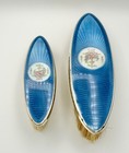 Antique Guilloche Sterling Brush Set Baby Blue And Floral Signed F b Vanity Set