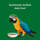  3 Pack  Kaytee Forti-diet Parrot Food  8 Pounds