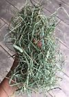 Fay s Pet Hay 2nd Cut Timothy Mix Hay  Great Rabbit Hay  Guinea Pig Hay