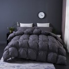 Snowman Goose Down Comforter Pinch Pleat Duvet Insert 750fp 1200tc Cotton 