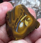 Australian Boulder Opal Rough Koroit  254 Carats