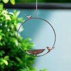 Hanging Metal Bird Feeder And Bath Circular Perch For Hummingbirds Garden Decor