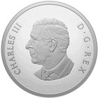 2026 Canada Lunar Year Of The Horse 1 Oz Silver Proof Coin