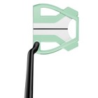 Taylormade Spider Tour X Double Bend Ice Mint Kbs Black Steel 32 Inch New