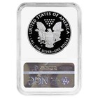 2010-w Proof  1 American Silver Eagle Ngc Pf70uc Brown Label