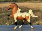 Breyer Horse Jcpenny Saddlebred Gaited Breeds Of American Five Gaiter