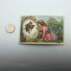 Vtg Antique Lamb Hatching From Egg O l  Butts Shoe Advertising Trade Card Oh R9 