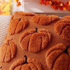 Fall Pillow Covers Pumpkin Fall Decor 16x16 Set Of 2 Caramel
